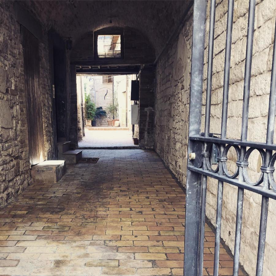 דירות אסיסי La Casa Dell'Artista מראה חיצוני תמונה